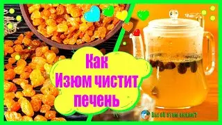 Как Изюм чистит печень