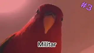 Loro rojo meme recopilacion #3