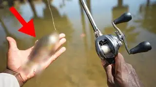 This Japanese Beginner Swimbait Is Way Better Than I Expected!