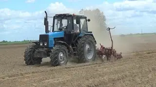 Окучивание картофеля в СПК "Гигант"