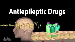 Pharmacology - Antiepileptic Drugs, Animation