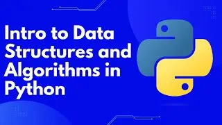 Master Data Structures & Algorithms with Interactive Python Coding Lessons