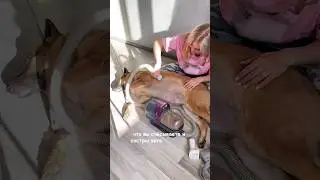 Арт. 993549881 мои супер находки 