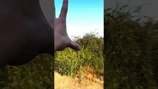 RATE THIS  INSANE TRANSITION😱 