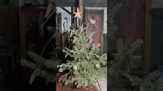El MEJOR ÁRBOL DE NAVIDAD de $0