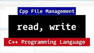 C++ Binary Files | Read, Write Methods | CPP Programming File Management Video Tutorial