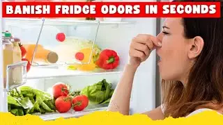 How to Get Rid of Bad Odors in Your Refrigerator (Quickly & Naturally)