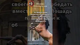 Калигула и конь.Интересные факты.
