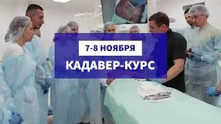 От анатомии к упражнениям | Кадавер-курсы KinesioCourse