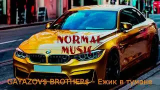 GAYAZOV$ BROTHER$ - Ежик в тумане