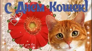 🐾😺 🐱🐾День Кошек! Красивое поздравление с Международным Днем Кошек! 🐱🐾