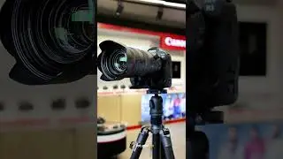 Canon R Serisi Body ve RF Lensler | #shorts #fotografium