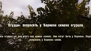 Задание просто ВО 👍 - STALKER Золотой Обоз 2 #2