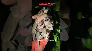 Родился до того, как придумали страх | часть 3 