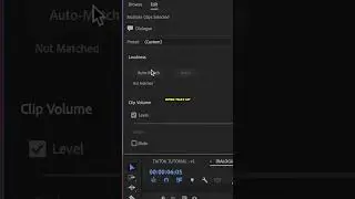 How To AUTO MATCH Audio Levels QUICK in PREMIERE PRO