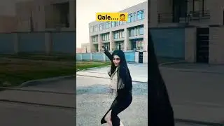 Qale....🤭🤣🤦 
