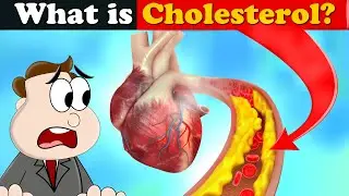What is Cholesterol? + more videos | 