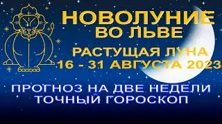 ГОРОСКОП НА 16-31 АВГУСТА🌒НОВОЛУНИЕ И РАСТУЩАЯ ЛУНА💫ВРЕМЯ ВОЗМОЖНОСТЕЙ