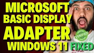 Microsoft Basic Display Adapter Windows 11 FIX