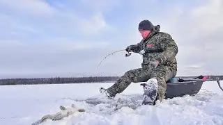 ВАННА ОМУЛЯ, ВЕДРО ИКРЫ! СУРОВЫЙ ПЕРВЫЙ ЛЁД 2023-24.