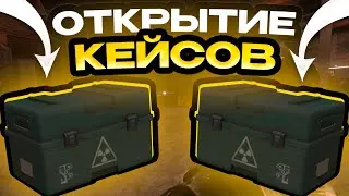 STALCRAFT | ОТКРЫЛ 20 КЕЙСОВ ПОСЛЕ НОВОГОДНЕГО ОБНОВЛЕНИЯ