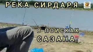 БЫЛО НЕ ЧТО ОСОБЕННАЯ РЫБАЛКА НА РЕКЕ СИРДАРЕЕ #fishihg #видеорыбалка