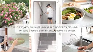 ПРОДУКТИВНЫЙ ДЕНЬ МАМЫ С НОВОРОЖДЕННЫМ| готовлю, уборка в доме и в саду, обучение Skillbox