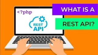 What is a REST API?