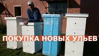 НОВЫЕ УЛЬЯ