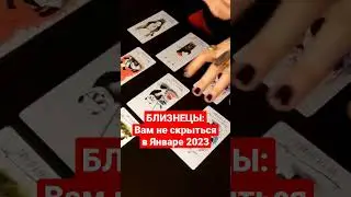 БЛИЗНЕЦЫ - ЯНВАРЬ 2023