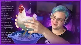 как мыть курицам лапы? (папа пятёрки на хайпе)