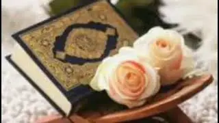 تلاوة القرآن الكريم بصوت هادئ و مريح😌 🧡          #ضع لايك 👍واستمع لآيات الله عز وجل🎧 🥰