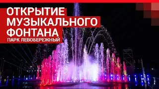 В Ростове открыли «умный» 3D-фонтан | 161.RU