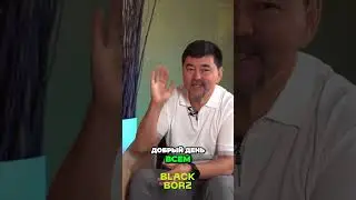 Путь к счастью через полезность, честность и сострадание