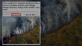 L'Amazzonia brucia e i social pregano per la foresta con le foto sbagliate