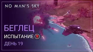 2024 No Mans Sky Echoes. БЕГЛЕЦ. День 19. Поиски продолжаются [PERMADEATH]