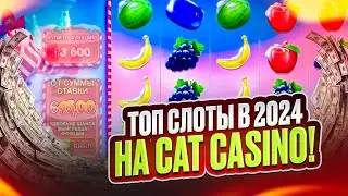 CAT CASINO РАЗДАЧА ХАЛЯВЫ 👑 200 ФРИСПИНОВ по ПРОМОКОДУ и БОНУС на ДЭП