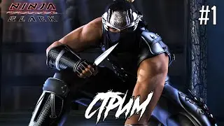 Ninja Gaiden Black Стрим-прохождение часть 1