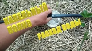Капельный полив.Расчет капельного полива