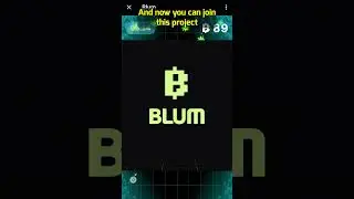 What is Blum? Blum Airdrop 2024
