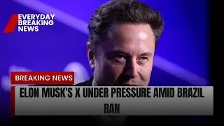 Elon Musk's X under pressure amid Brazil ban | Everyday breaking news