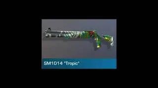 Перевод всех скинов SM1014 в Standoff 2 0.16.3 / Перевод всех SM1014 в Стандофф 2  Standoff Стандофф