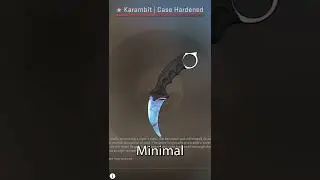 The RAREST CSGO Blue Gem...