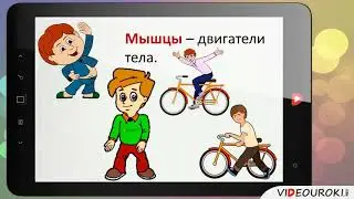 Видеоурок №6 
