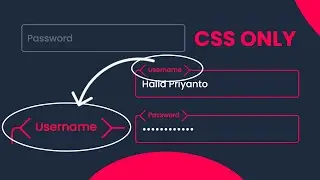 CSS Input Field Text Animation @codehal