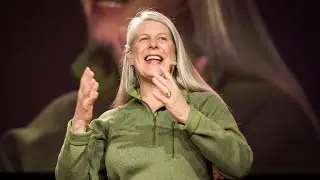 The right brain vs. left brain experience | Jill Bolte Taylor