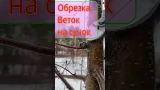 🌳ОБРЕЗКА ЯБЛОНИ  на СУЧОК замещения 