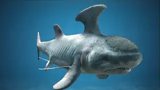 What On Earth Was Stethacanthus?