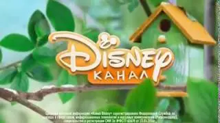 Disney Channel Russia Ident with registration certificate (spring 2020)