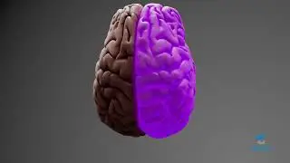 Educational Video: Introduction to Brain Injury